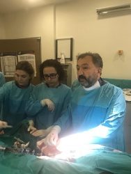 Prof. Dr. Erdoğan İlkay